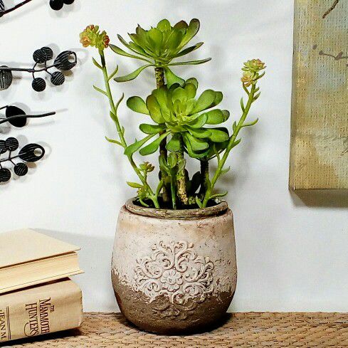 Artificial Succulents in Stone Vessel 14" x 5" home decor modern fake plants faux plants flowers boho cactus cacti 