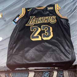 Lebron Mamba Jersey 