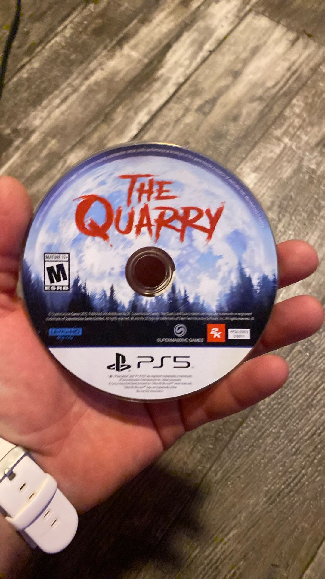 The Quarry