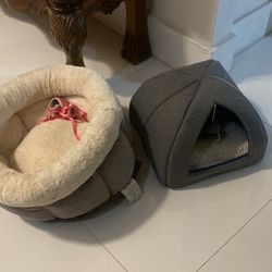 Cat.  Dog. Bed 