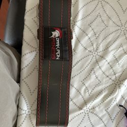 Dark Iron Fitness Weightlifting Belt 