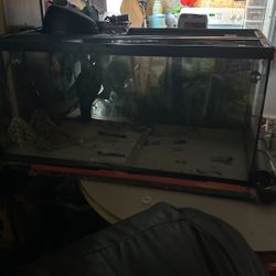 55 Gallon Aquarium 
