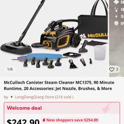 Steam Cleaner 