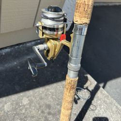 Spinning Rod & Reel Set