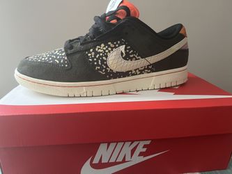 Nike Dunk Rainbow Trout 