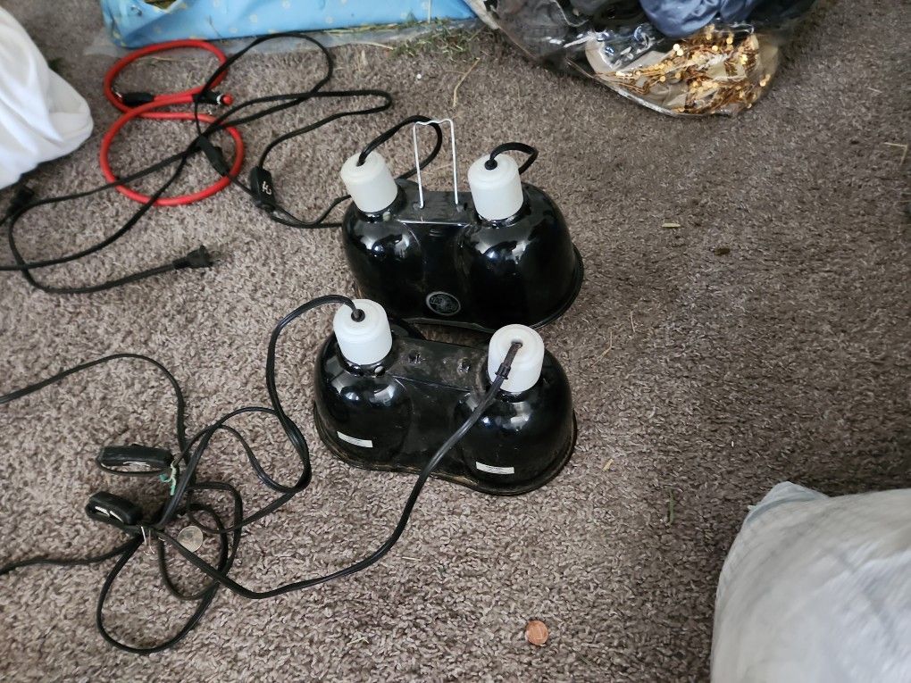 Reptile Heat Lamps 