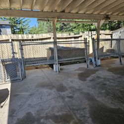 Fence  Around 200 Feet 
