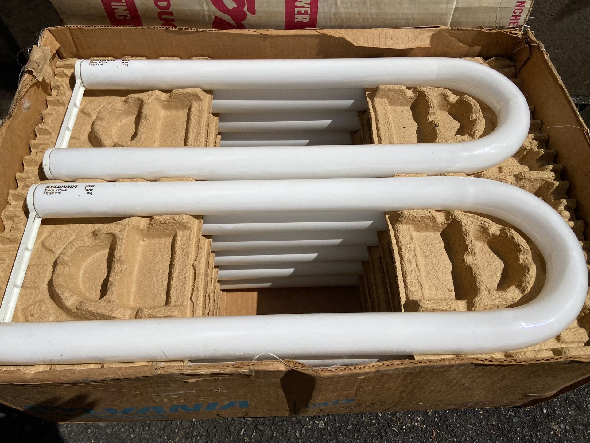 U-shape Sylvania Fluorescent Lights (NEW Case)