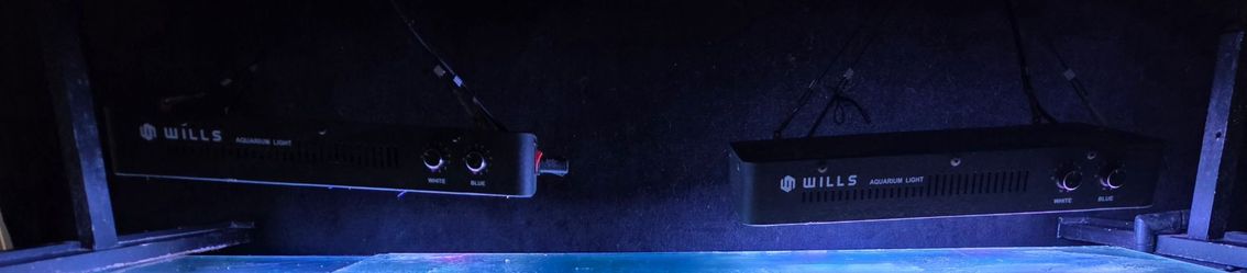 Aquarium/Reef Lights