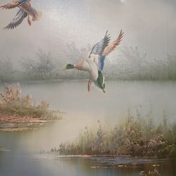Duck Paintings