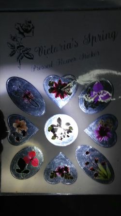 TRANSPARENT REAL FLOWERS STICKERS