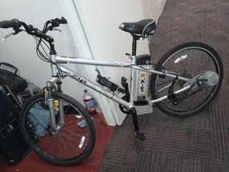 Ezip skyline electric bike hot sale