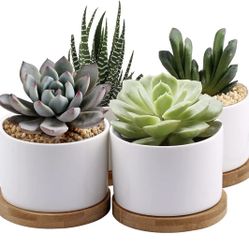 Set Of 4 Ceramic White Pots With Bamboo Saucer 3.5"x3" NEW, Plants Not Included