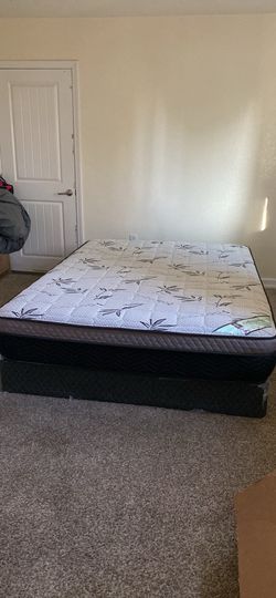Queen bed couple months old plastic still on box spring