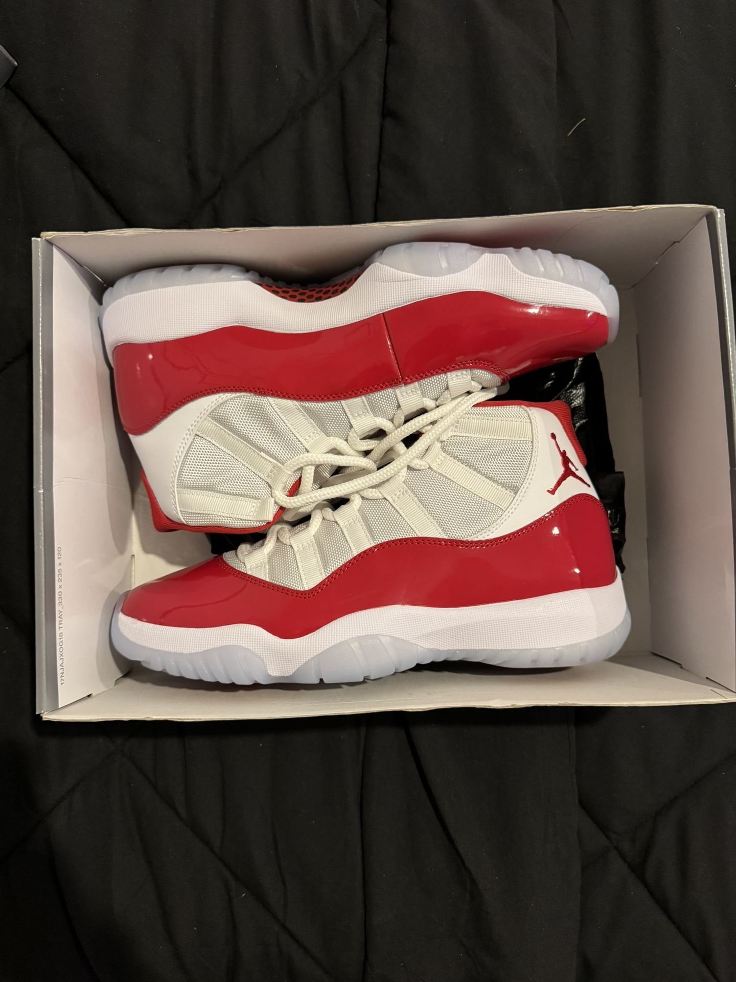Jordan Retro 11 Cherry