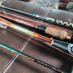 Fishing Rods 