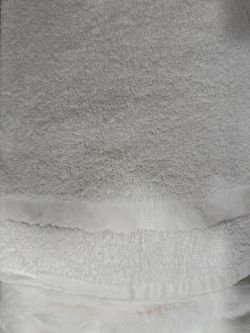 White Cotton hand Towels Set