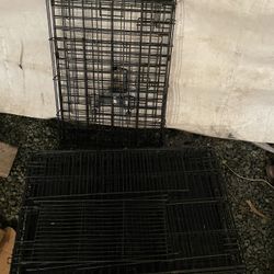 Cat/rabbit Cages