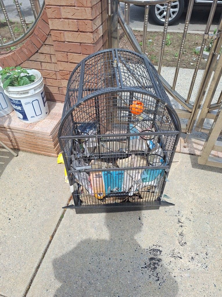 Big Bird Cage