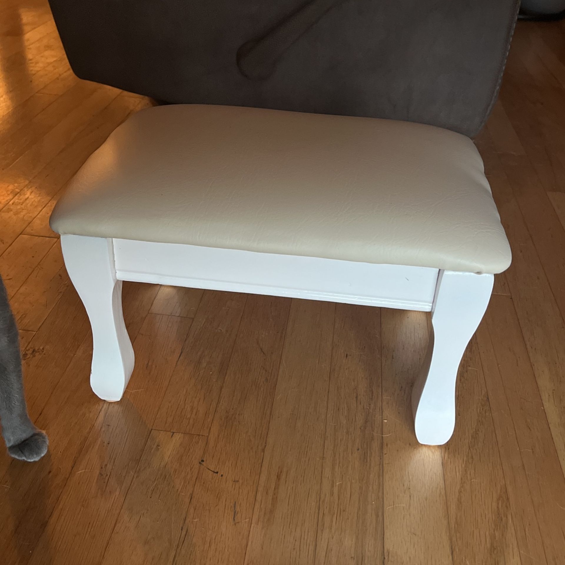New Foot Stool/ Manicurist Chair/chair