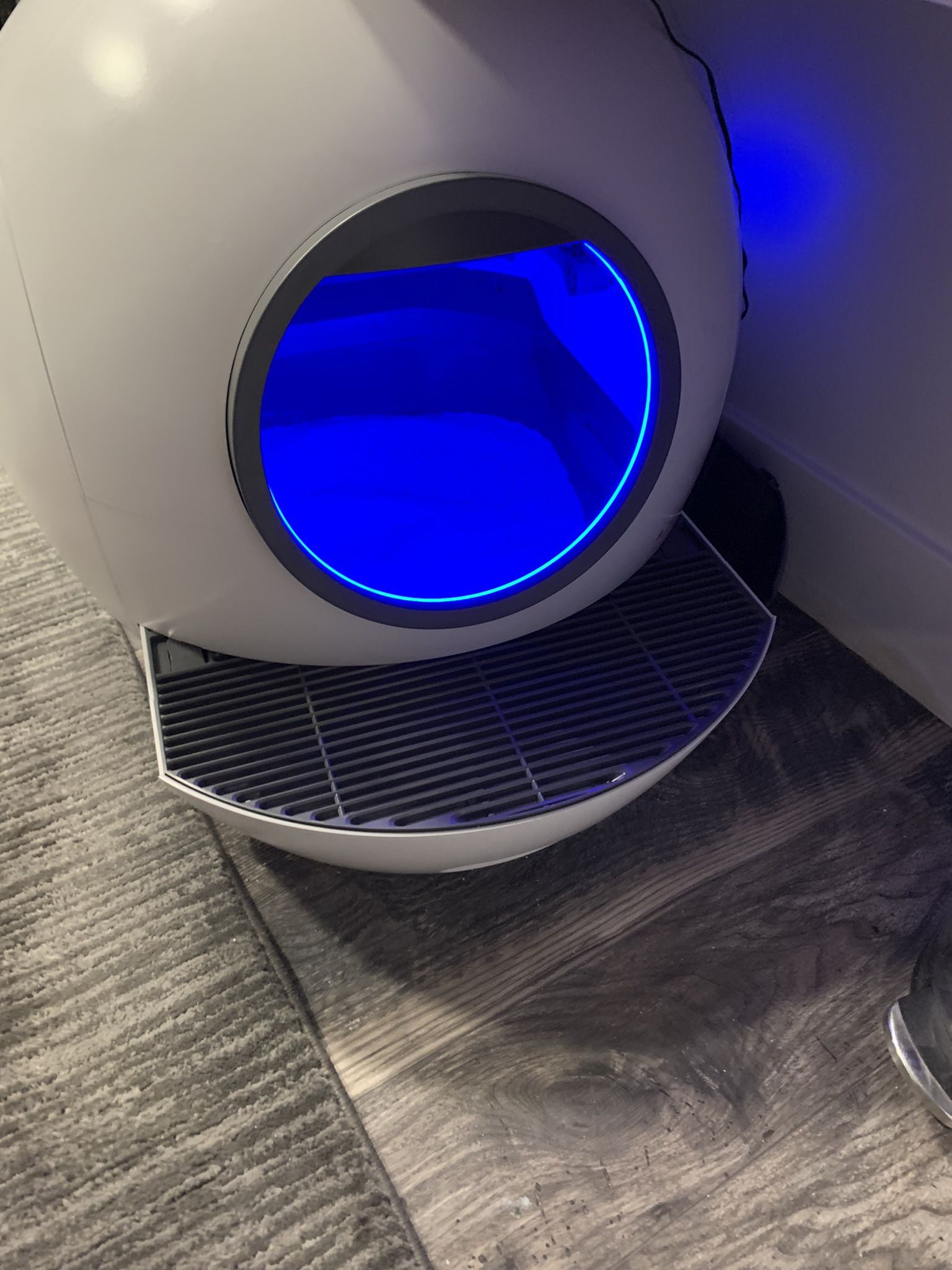 Automatic Litter Box