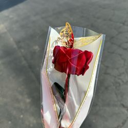 Eternal Roses 💐 Rosas Eternas