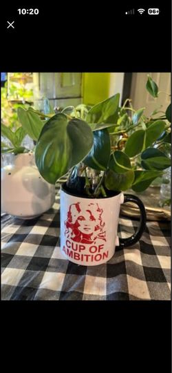 Philodendron Brazil propagation starter plant in Dolly mug, fast easy grower