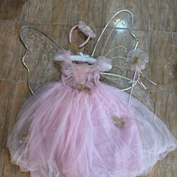 Butterfly Costume