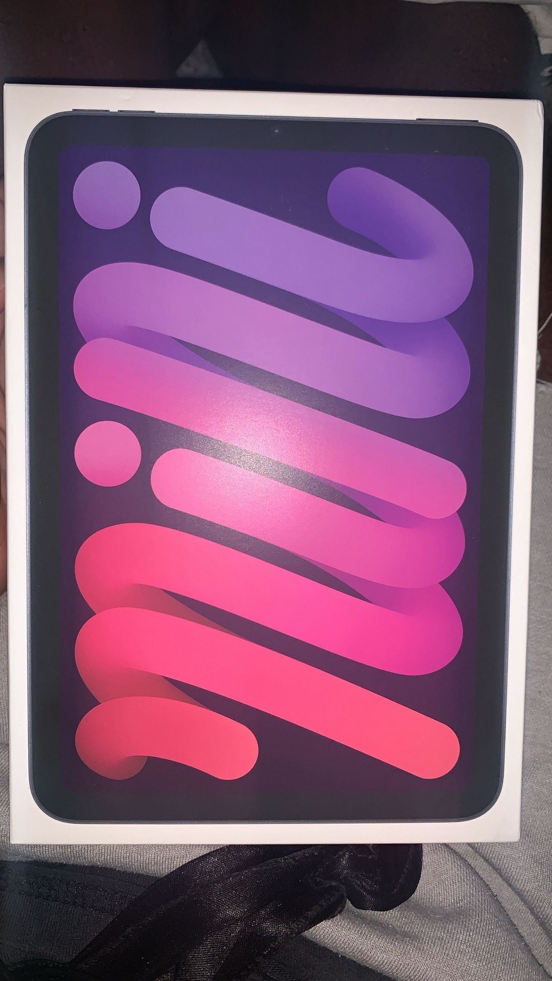 iPad Mini 7 Gen 256GB