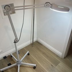 Eye Lash Lamp 