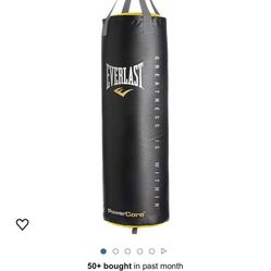Punching Bad Everlast $50