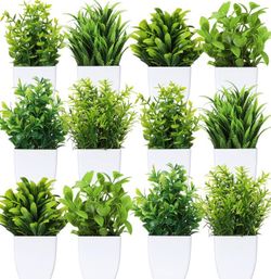 Mini Artificial Plants in White Pots Set of 12
