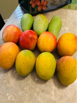 Different varieties of mangoes