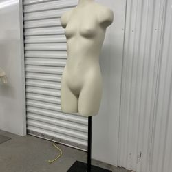 Torso Display Mannequin