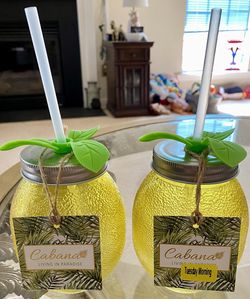 2 - (NEW NEVER USED ) Drinking Glasses With Straws . 