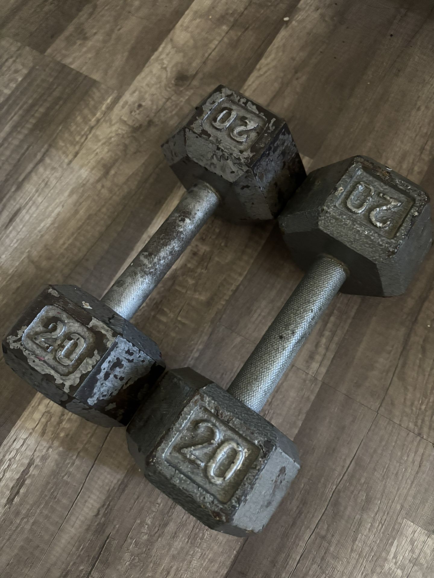 20 lb Dumbbell Weights 