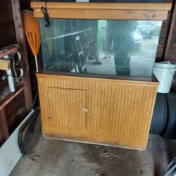 90 Gallon Tank0
