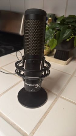 Laptop Mic