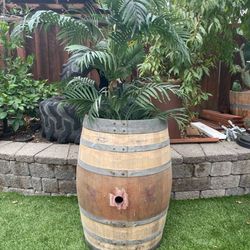 Wine Barrel Planter Full Size 🌳