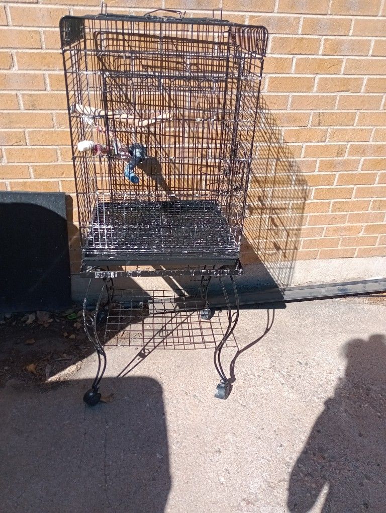 Bird Cage