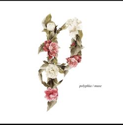 Polyphia Muse vinyl album