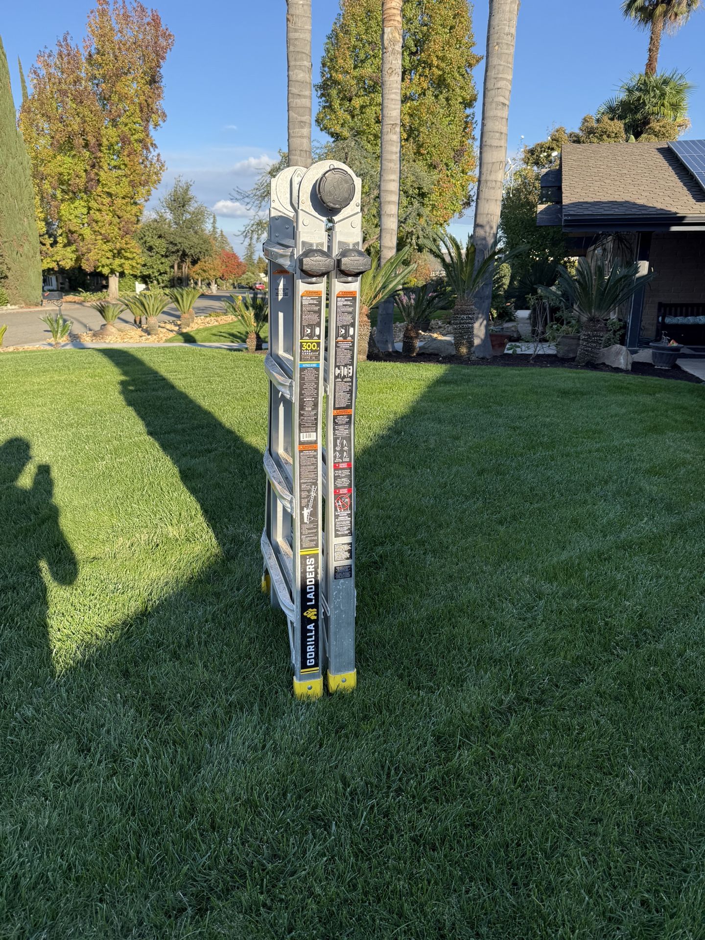 18 Foot Gorilla Ladder