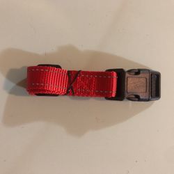 Medium New Dog Collar