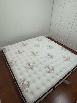 Stearns & Foster Signature Mattress
