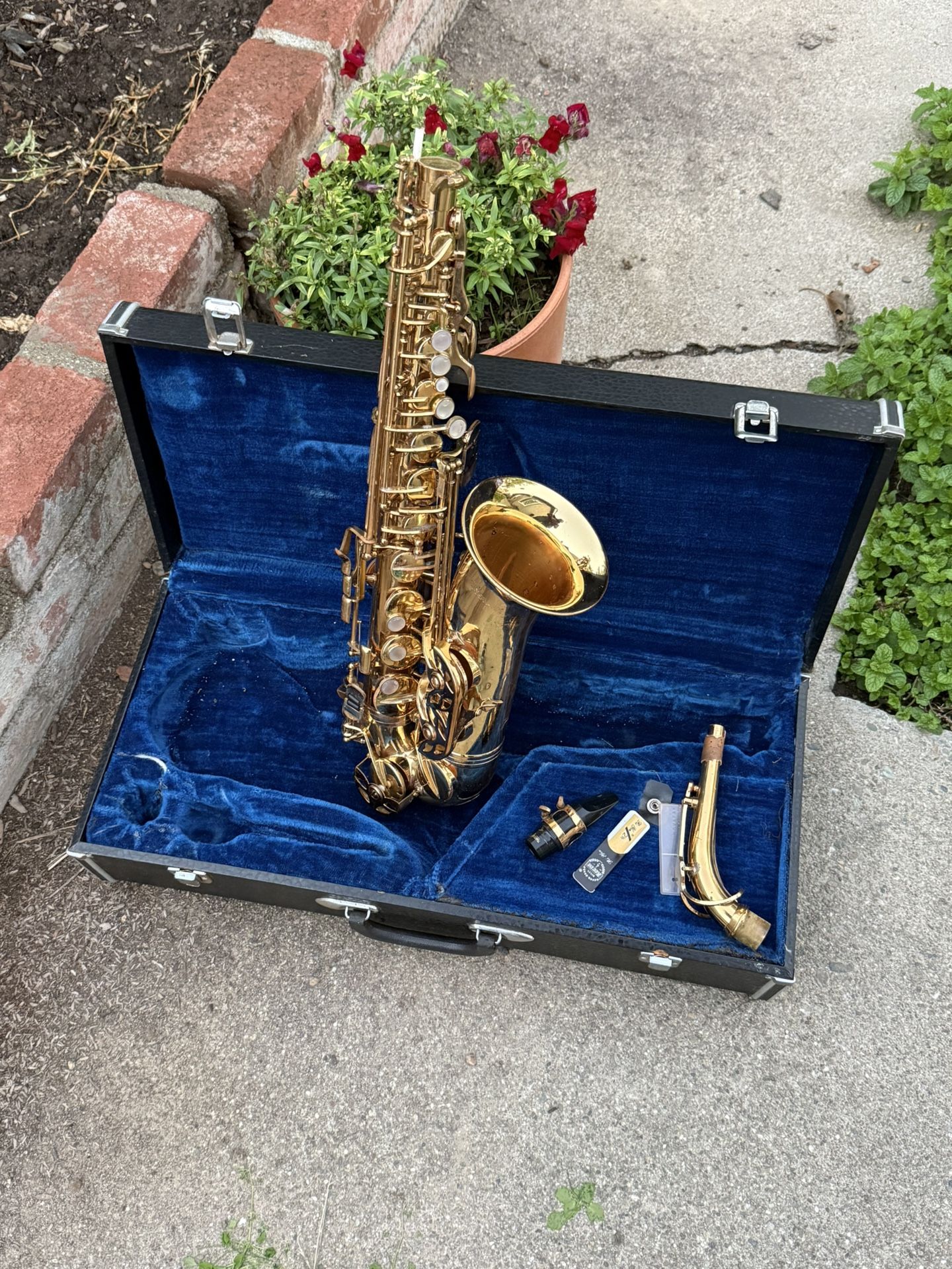 Alto Saxophone π·