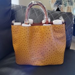 Dooney and Burke purse
