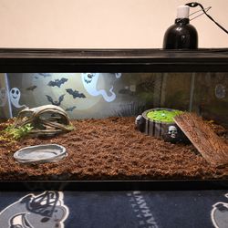 Full tank set up with all the lights