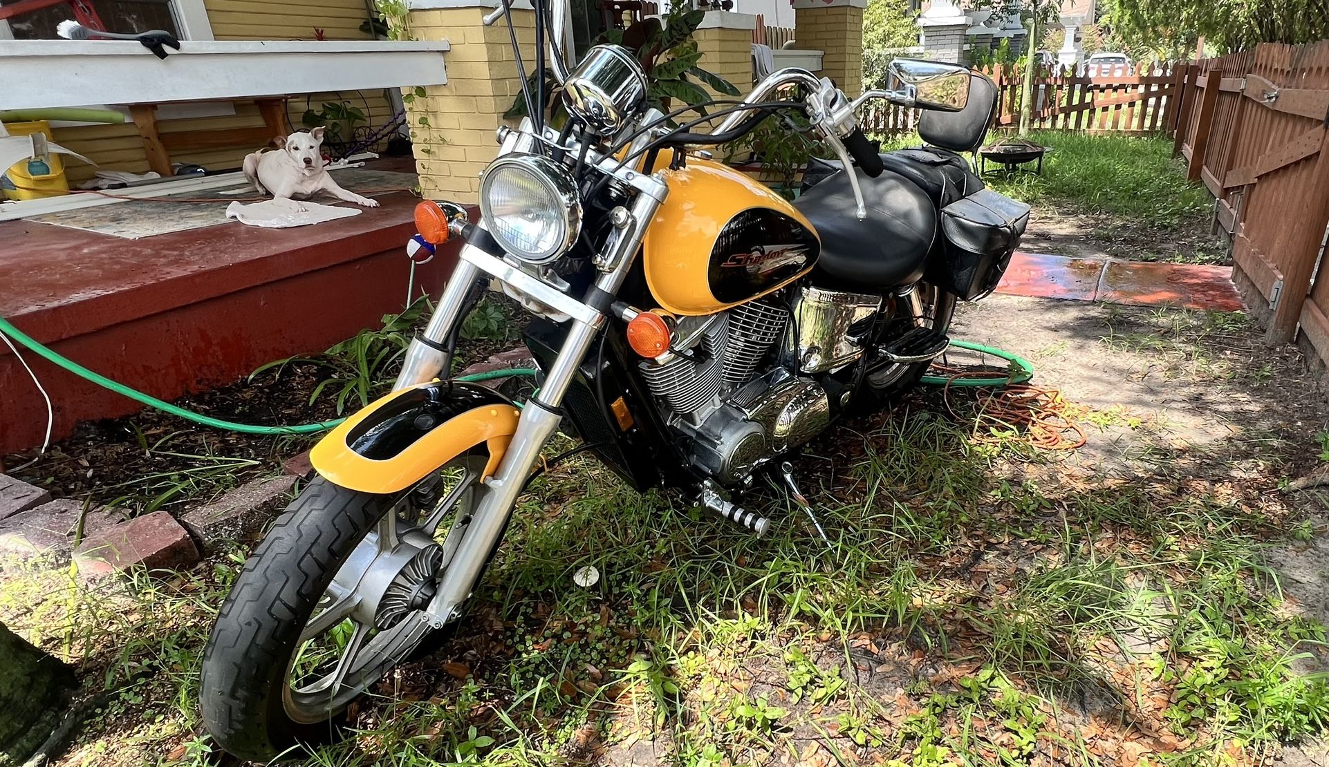 1999 Honda Shadow spirit