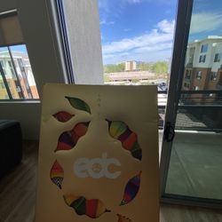 EDC  Vegas  3 Day GA+ Skip Entry And Bathroom Lines 