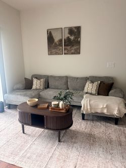 BRAND NEW COUCH FOR SALE — $350